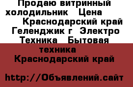 Продаю витринный холодильник › Цена ­ 22 000 - Краснодарский край, Геленджик г. Электро-Техника » Бытовая техника   . Краснодарский край